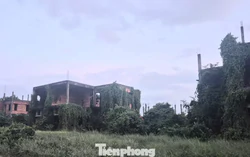 Dự án nghìn tỷ 'đắp chiếu', siêu đô thị thành... vườn sắn