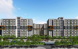 Hơn 3.600 người được thuê, mua 929 căn nhà ở xã hội với giá 18 triệu đồng/m2 tại dự án ở phía Bắc Thủ đô