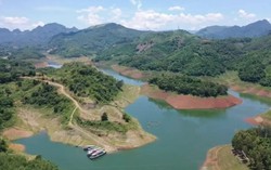 Doanh nghiệp thuộc sở hữu của Phú Mỹ Hưng được chuyển đổi 43,17ha đất rừng làm khu đô thị sinh thái