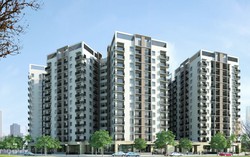 Giá căn hộ TP.HCM chững lại sau cơn sốt, lần đầu thấp hơn Hà Nội