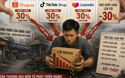 Rời mặt bằng 70 triệu/tháng để lên sàn TMĐT, chủ shop cay đắng: Bán càng nhiều càng lỗ, có người phải 'nộp tô' 400 triệu đồng/mùa Tết