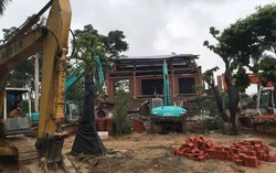 Hà Nội: Hơn 4.000ha đất của các Công ty nông, lâm trường chưa bàn giao