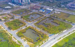 Điểm đặc biệt của lô 'đất vàng' ở Thủ Thiêm sắp được đấu giá