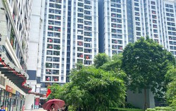 Căn hộ đến hạn nhận nhà: Áp lực bán trước kỳ thanh toán cuối