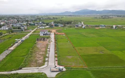 Đấu giá đất vùng quê: 13 lô còn lại không có người đấu