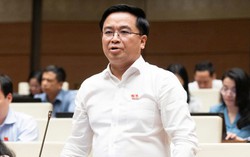 ĐBQH: Phát triển nhà cho thuê, nhiều người dân sẽ có nhà ở như mong ước
