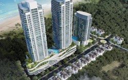 Hodeco bị nhắc nhở vì chậm báo cáo thông tin tài liệu ĐHĐCĐ