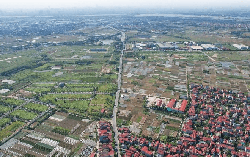 Thị trường đất nền "hạ nhiệt" sau giai đoạn tăng giá kéo dài, giá giảm