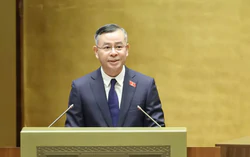 Dự án lấn biển phải tuân thủ pháp luật Việt Nam và Công ước Liên hợp quốc về Luật Biển