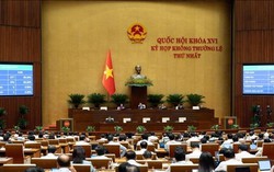 Mở cơ chế đặc thù cho đô thị lấn biển, trung tâm tài chính quốc tế