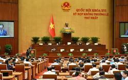 Cắt giảm, đơn giản hóa thủ tục hành chính, điều kiện kinh doanh trong lĩnh vực nông nghiệp và môi trường
