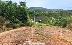 Kiểm điểm nhiều cá nhân, tập thể vụ khu tái định cư có 30/44 lô đất không thể làm nhà