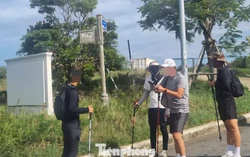 Cảnh báo việc trekking tự phát ở rừng đặc dụng Sơn Trà