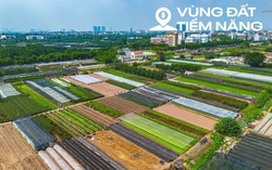 Toàn cảnh dự án công viên công nghệ trị giá 2 tỷ USD của FPT: Rộng gấp 2 lần phố cổ Hà Nội, sẽ là nơi làm việc của 75.000 người