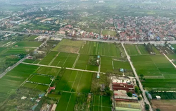 Không khai báo lại thông tin đã có dữ liệu khi làm thủ tục đất đai