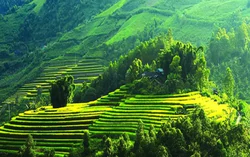 Ecopark Hải Dương và tỷ phú “ăn chay” Xuân Trường nhắm tới “viên ngọc xanh” của núi rừng Tây Bắc