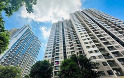 NÓNG: Chính phủ thống nhất thời hạn sử dụng nhà chung cư theo niên hạn công trình