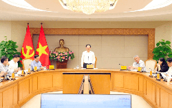 Dự thảo Luật Đất đai (sửa đổi): Nghiên cứu thuế chống đầu cơ và bỏ hoang đất