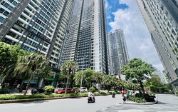 “Nhiều người dân có tâm lý mặc định sẽ ở tại chung cư lâu dài và không muốn sửa chữa”