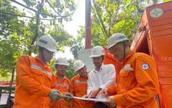 TPHCM: Cắt điện, nước cac công trình, cơ sở không chấp hành yêu cầu dừng vi phạm