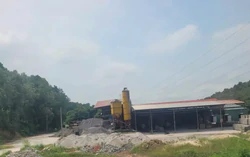 Hà Nội tháo dỡ hàng loạt nhà gỗ, nhà dạng container trên đất rừng