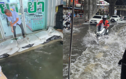 Bangkok mưa lớn, hàng loạt tuyến đường ngập: 3 quận được công bố là vùng thiên tai