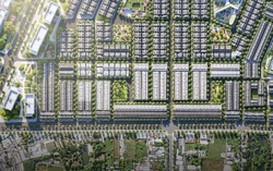 Khu nhà ở thấp tầng số 8 Đông Tăng Long nguồn cung chọn lọc phía Đông TP HCM