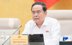 Tổ chức lấy ý kiến Nhân dân về Luật Đất đai và Bộ luật Hình sự sửa đổi qua VNeID