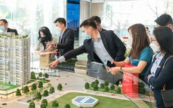 Môi giới bất động sản cung cấp thông tin sai có thể bị phạt tới 160 triệu đồng