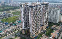 Những người tham gia thị trường từ quý II/2025 trở đi là nhóm mua vào ở vùng giá cao của chu kỳ