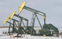 OPEC “thề” giữ sản lượng, giá dầu lại giảm