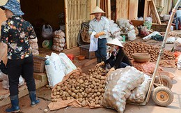 Cấm cửa nông sản Trung Quôc núp bóng hàng Việt