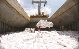 Gỡ “nút thắt” trong xuất khẩu gạo