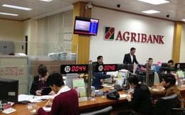 Agribank tuyển dụng nhân sự ưu tiên… con cháu trong nhà