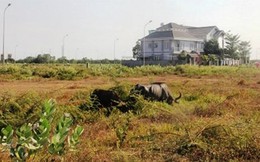 Bắc Ninh “bêu tên” 15 doanh nghiệp vi phạm về đất đai