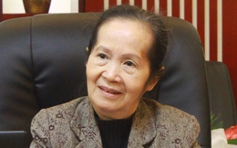 Bà Phạm Chi Lan: “Đừng quá lạc quan về số doanh nghiệp thành lập mới tăng“