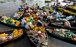 Vì sao kinh tế thị trường ở Việt Nam vẫn “nửa vời”?