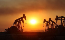 Giá dầu được dự báo còn thấp ít nhất 5 năm nữa