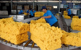 Giá cao su xuất khẩu giảm hơn 31%