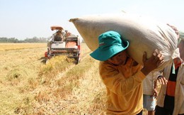 Thu nhập bình quân ở nông thôn: ​24,4 triệu đồng/người/năm