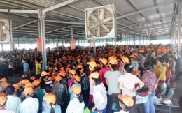 1.000 công nhân đình công phản đối chủ quản người Trung Quốc