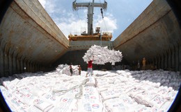 Đã xuất khẩu hơn 4,3 triệu tấn gạo