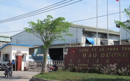 Vụ “Chuỗi sai phạm mang tên Hào Dương”: Công ty Hào Dương xin dãn nộp phạt 6,3 tỉ đồng