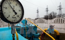 Ukraine tiếp tục mặc cả Nga hạ giá khí đốt cho mùa Đông sắp tới