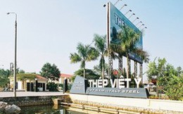 Thép Việt Ý: Trình ĐHCĐ giảm doanh thu, tăng kế hoạch lợi nhuận gấp rưỡi cho năm 2015
