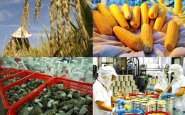 Xuất khẩu nông sản đạt gần 17 tỷ USD