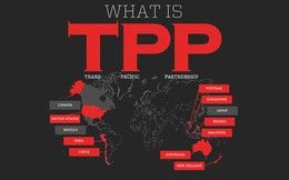 Không thể thay cải cách kinh tế bằng TPP!