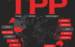 TPP giúp Việt Nam trở thành cứ điểm quan trọng trong chuỗi sản xuất thế giới