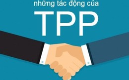 Hà Nội cần chuẩn bị để gia nhập TPP?