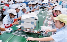 FTA Việt Nam-Hàn Quốc chính thức có hiệu lực từ ngày 20/12